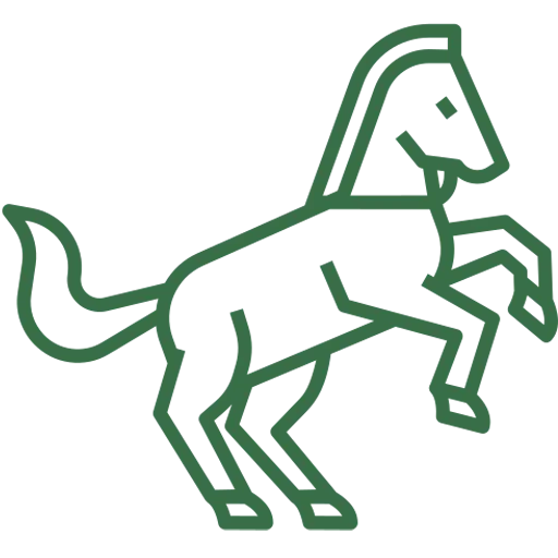 equin.webp
